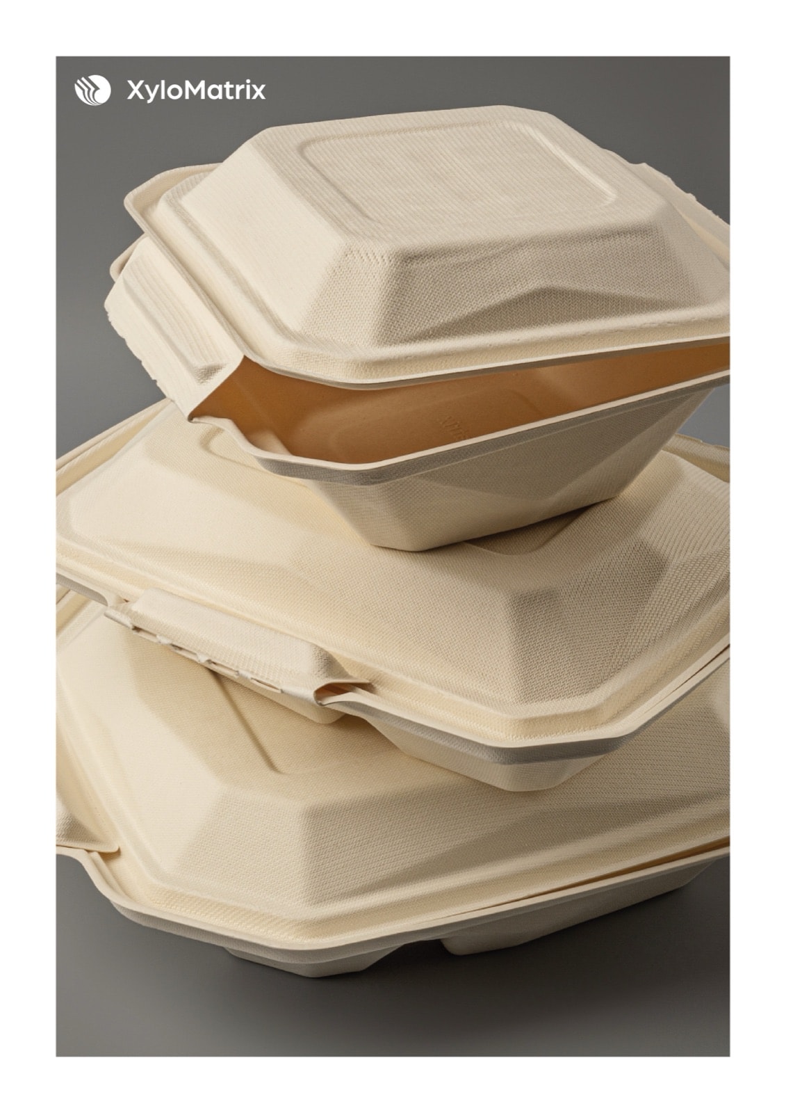 Rozkładówka broszury XyloMatrix — oferta produktowa
