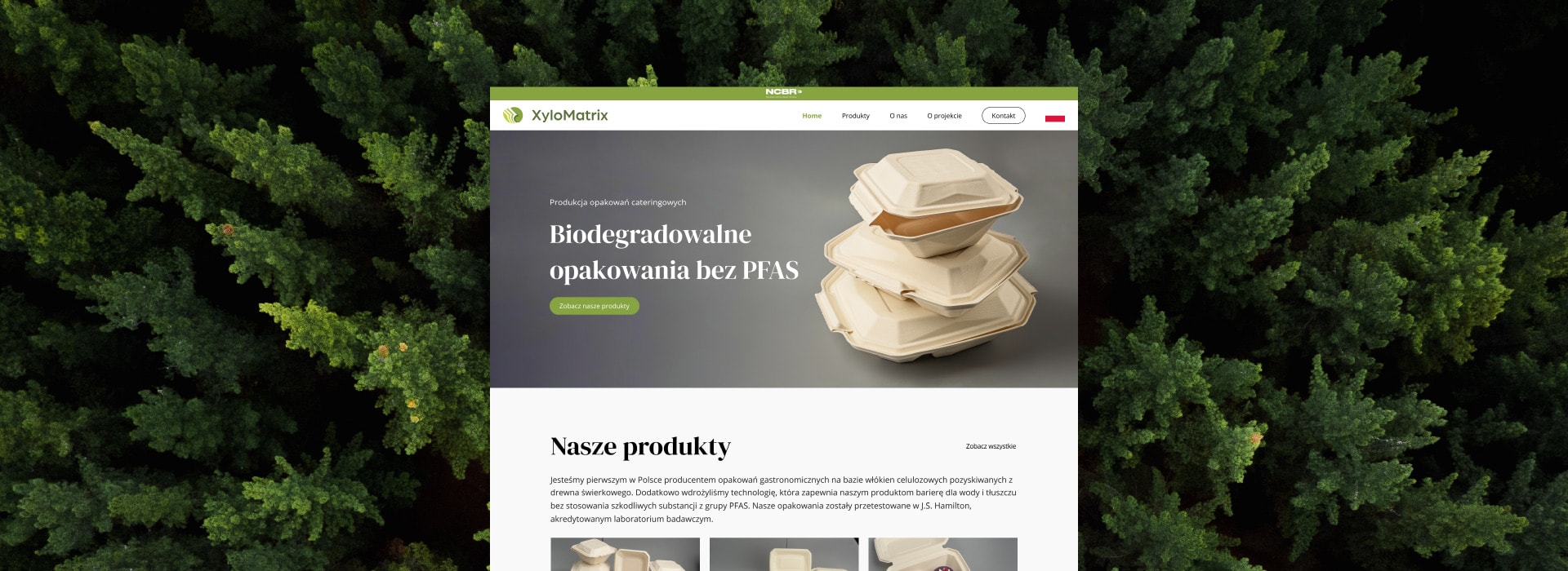 Makieta strony internetowej XyloMatrix na laptopie, na tle leśnej zieleni.